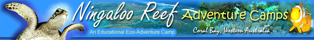 Ningaloo Adventure Camps
